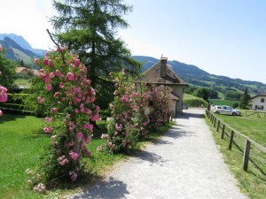 Gruyères